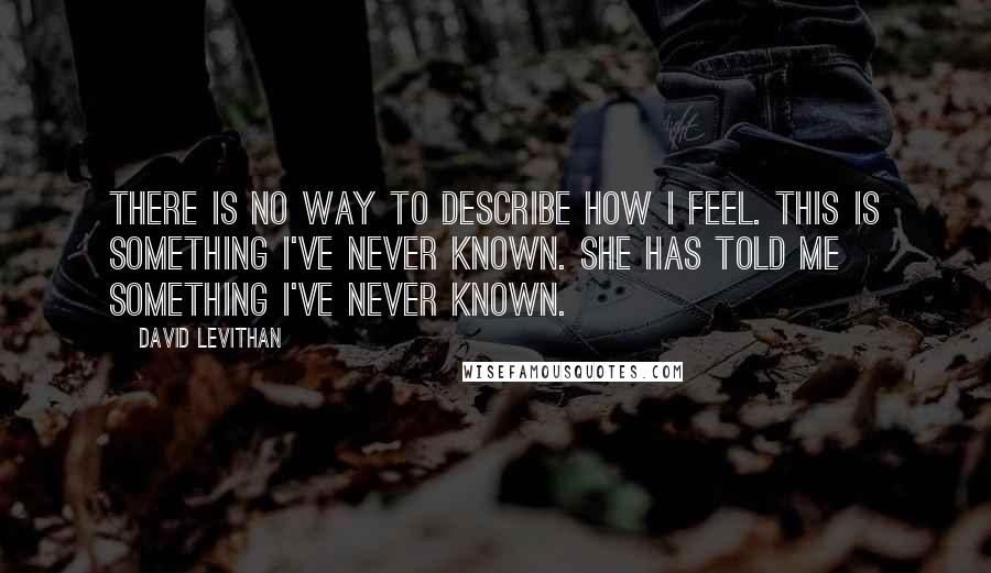 David Levithan Quotes: There is no way to describe how I feel. This is something I've never known. She has told me something I've never known.