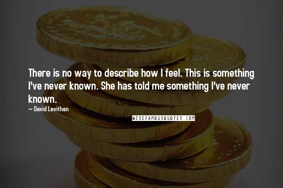 David Levithan Quotes: There is no way to describe how I feel. This is something I've never known. She has told me something I've never known.