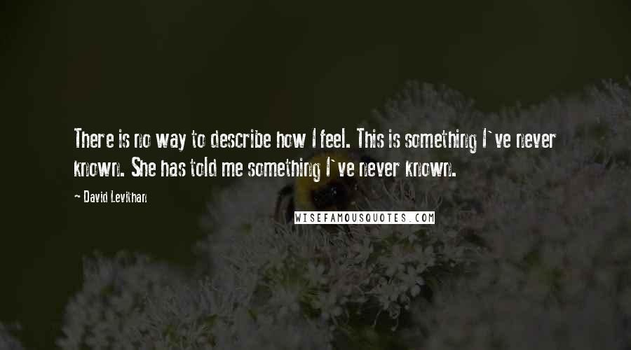 David Levithan Quotes: There is no way to describe how I feel. This is something I've never known. She has told me something I've never known.