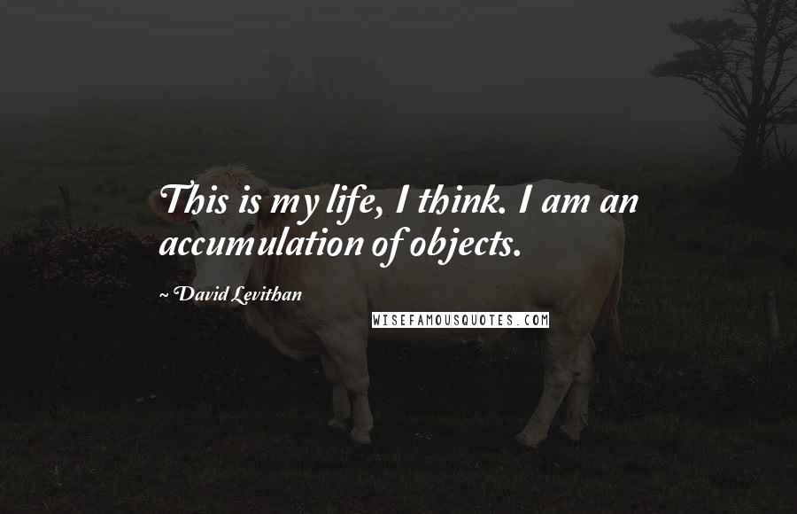 David Levithan Quotes: This is my life, I think. I am an accumulation of objects.