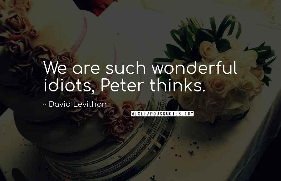 David Levithan Quotes: We are such wonderful idiots, Peter thinks.