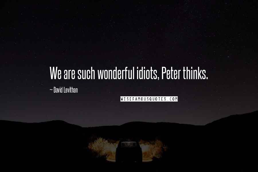 David Levithan Quotes: We are such wonderful idiots, Peter thinks.