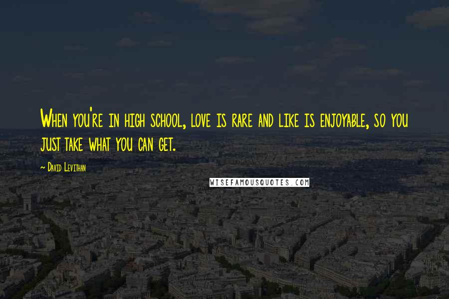 David Levithan Quotes: When you're in high school, love is rare and like is enjoyable, so you just take what you can get.