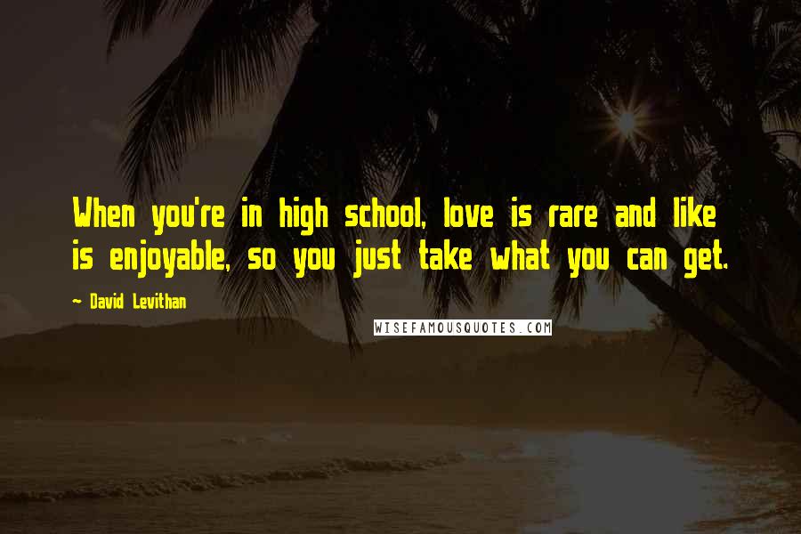 David Levithan Quotes: When you're in high school, love is rare and like is enjoyable, so you just take what you can get.