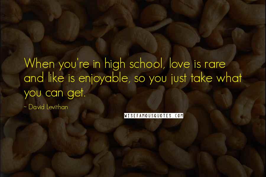 David Levithan Quotes: When you're in high school, love is rare and like is enjoyable, so you just take what you can get.