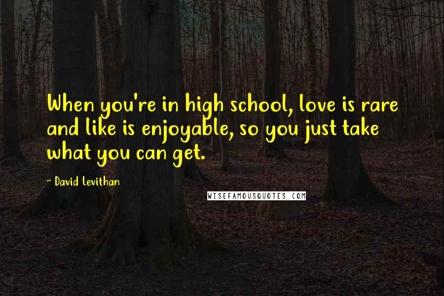 David Levithan Quotes: When you're in high school, love is rare and like is enjoyable, so you just take what you can get.