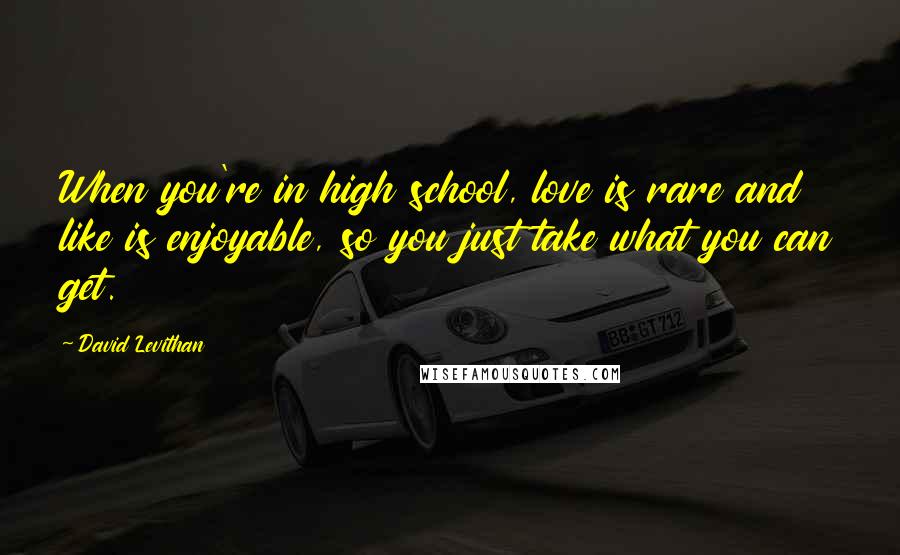 David Levithan Quotes: When you're in high school, love is rare and like is enjoyable, so you just take what you can get.