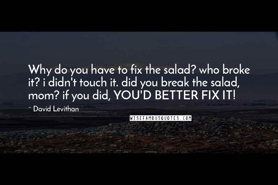David Levithan Quotes: Why do you have to fix the salad? who broke it? i didn't touch it. did you break the salad, mom? if you did, YOU'D BETTER FIX IT!