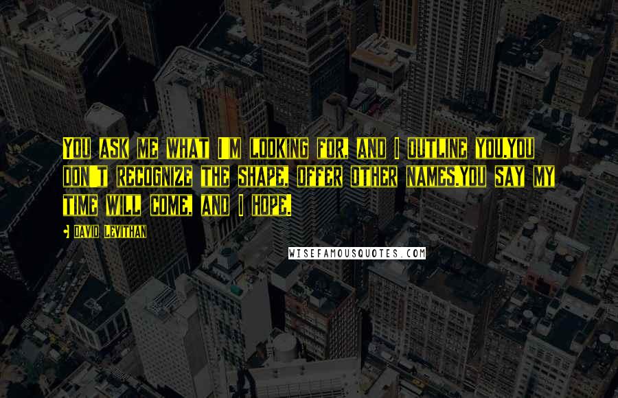 David Levithan Quotes: You ask me what I'm looking for, and I outline you.you don't recognize the shape, offer other names.you say my time will come, and I hope.
