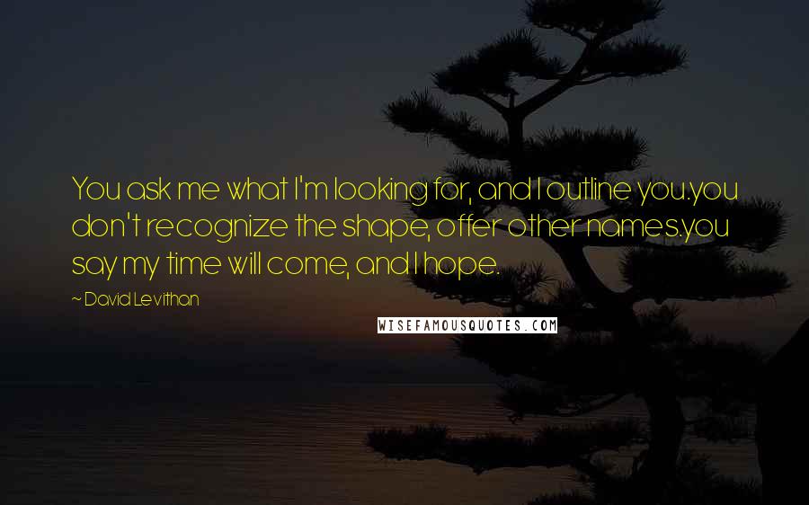 David Levithan Quotes: You ask me what I'm looking for, and I outline you.you don't recognize the shape, offer other names.you say my time will come, and I hope.