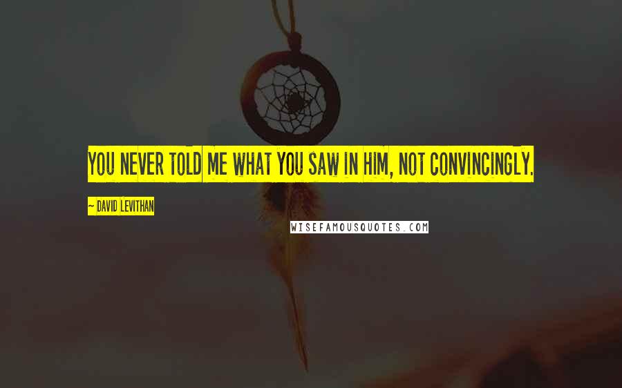 David Levithan Quotes: You never told me what you saw in him, not convincingly.