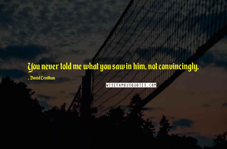 David Levithan Quotes: You never told me what you saw in him, not convincingly.