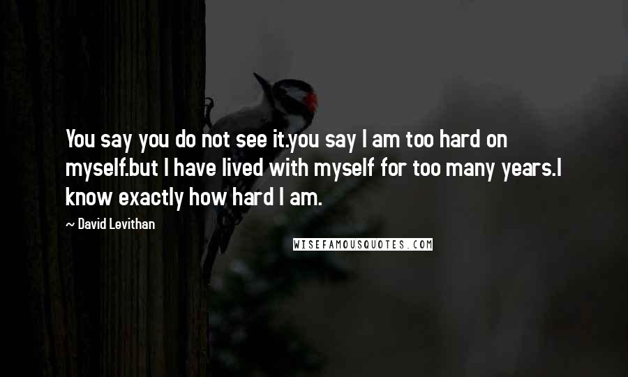 David Levithan Quotes: You say you do not see it.you say I am too hard on myself.but I have lived with myself for too many years.I know exactly how hard I am.