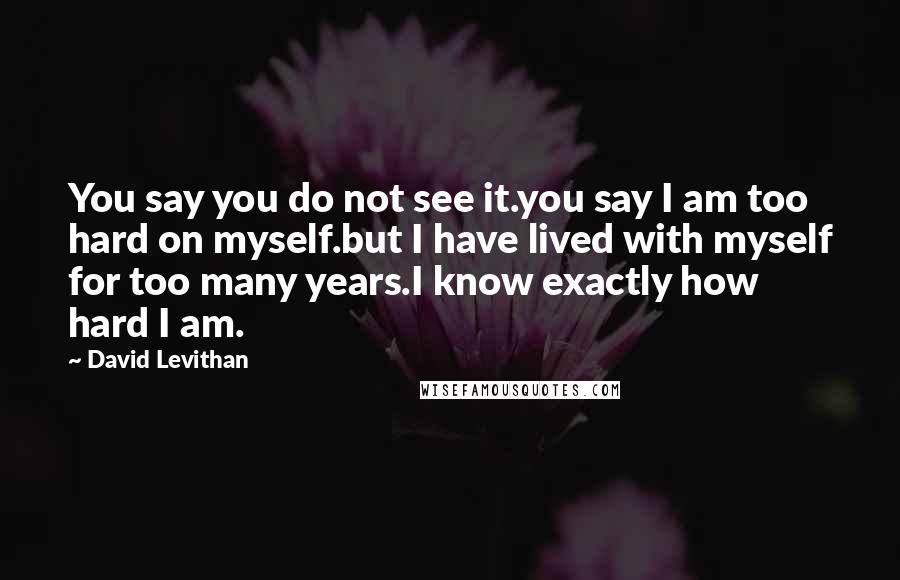David Levithan Quotes: You say you do not see it.you say I am too hard on myself.but I have lived with myself for too many years.I know exactly how hard I am.