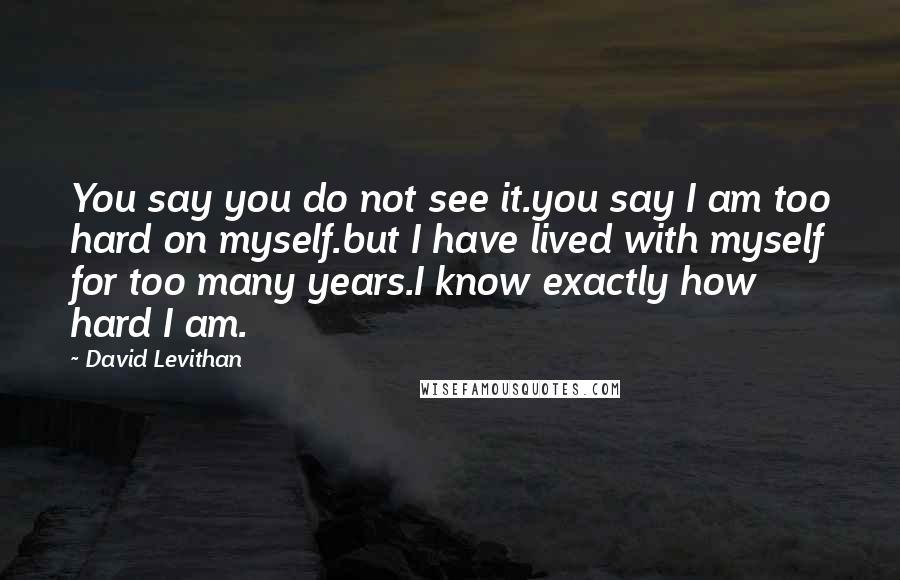 David Levithan Quotes: You say you do not see it.you say I am too hard on myself.but I have lived with myself for too many years.I know exactly how hard I am.