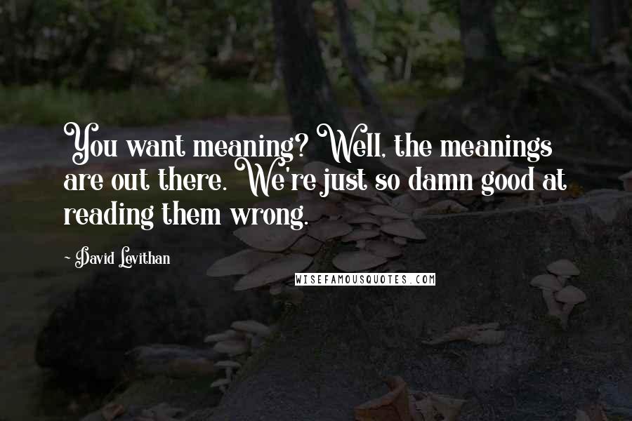 David Levithan Quotes: You want meaning? Well, the meanings are out there. We're just so damn good at reading them wrong.