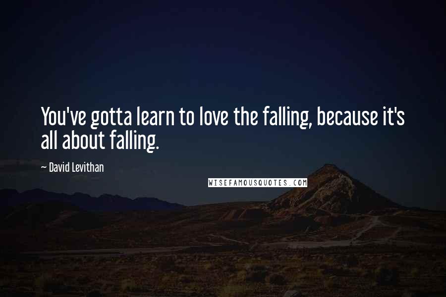 David Levithan Quotes: You've gotta learn to love the falling, because it's all about falling.