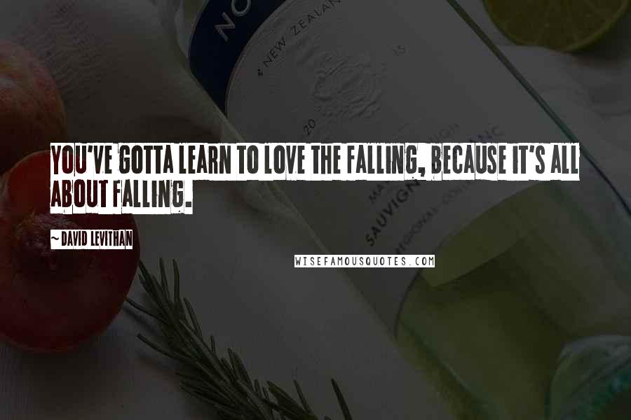 David Levithan Quotes: You've gotta learn to love the falling, because it's all about falling.