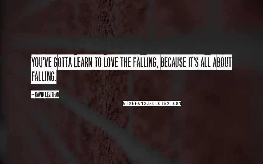 David Levithan Quotes: You've gotta learn to love the falling, because it's all about falling.