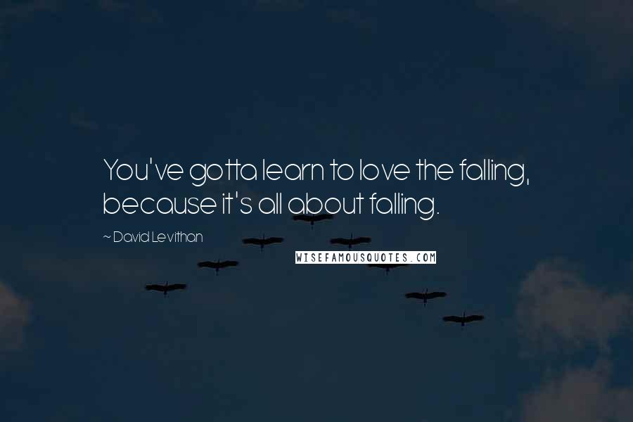 David Levithan Quotes: You've gotta learn to love the falling, because it's all about falling.