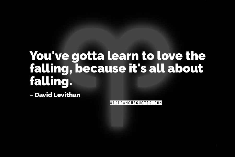 David Levithan Quotes: You've gotta learn to love the falling, because it's all about falling.