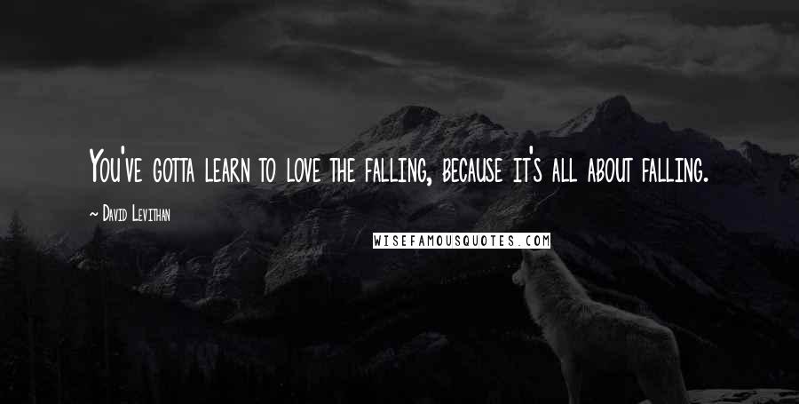David Levithan Quotes: You've gotta learn to love the falling, because it's all about falling.