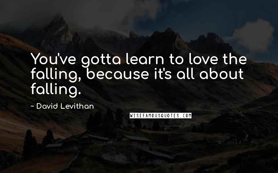 David Levithan Quotes: You've gotta learn to love the falling, because it's all about falling.