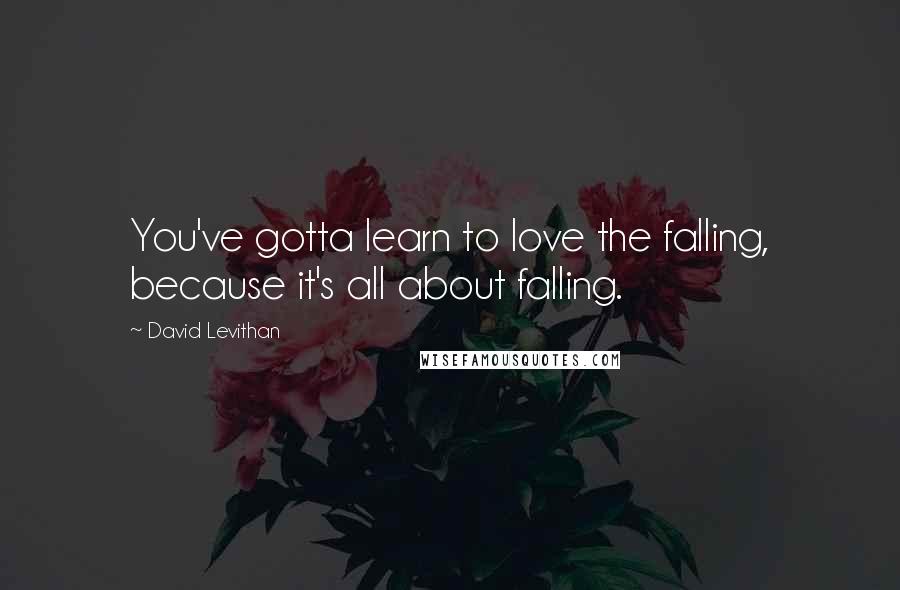 David Levithan Quotes: You've gotta learn to love the falling, because it's all about falling.