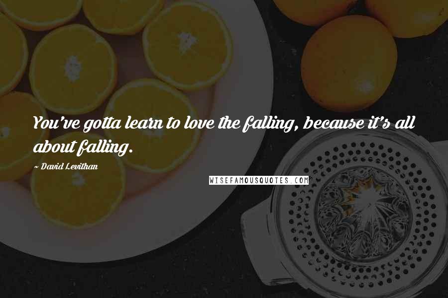 David Levithan Quotes: You've gotta learn to love the falling, because it's all about falling.