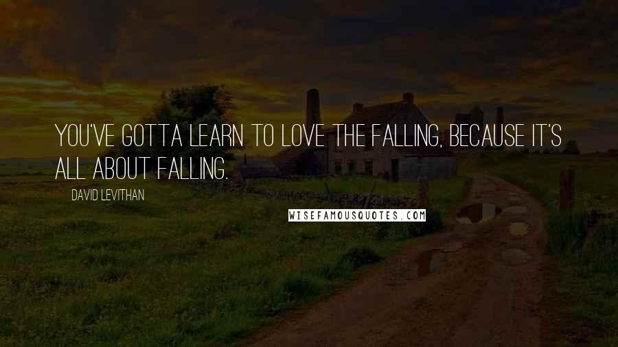 David Levithan Quotes: You've gotta learn to love the falling, because it's all about falling.