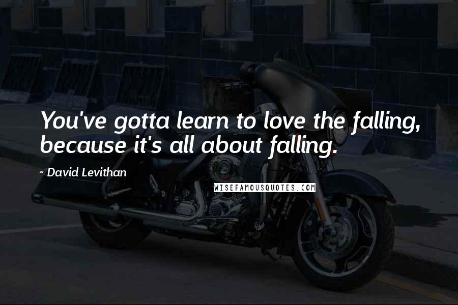 David Levithan Quotes: You've gotta learn to love the falling, because it's all about falling.