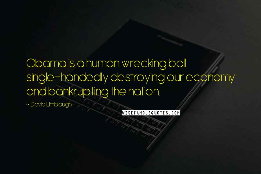 David Limbaugh Quotes: Obama is a human wrecking ball single-handedly destroying our economy and bankrupting the nation.