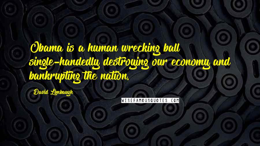 David Limbaugh Quotes: Obama is a human wrecking ball single-handedly destroying our economy and bankrupting the nation.