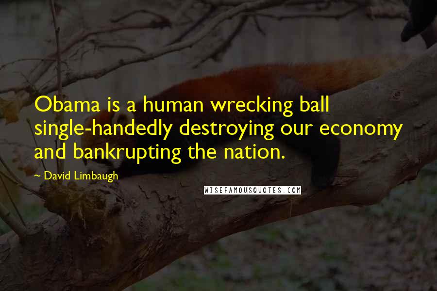 David Limbaugh Quotes: Obama is a human wrecking ball single-handedly destroying our economy and bankrupting the nation.