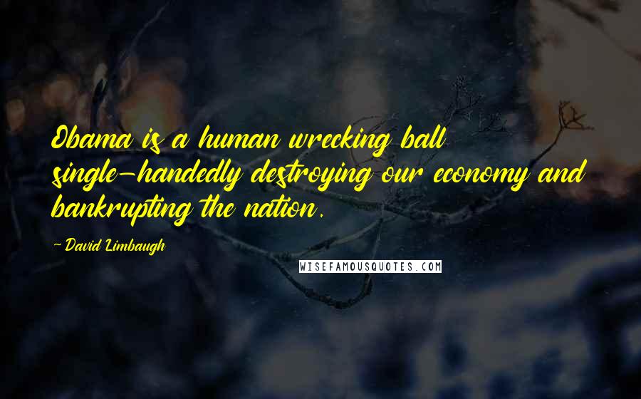 David Limbaugh Quotes: Obama is a human wrecking ball single-handedly destroying our economy and bankrupting the nation.