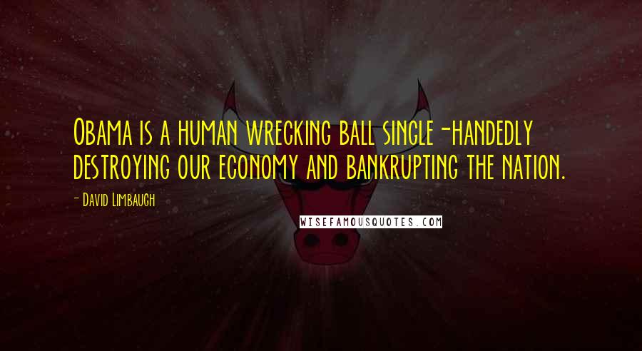 David Limbaugh Quotes: Obama is a human wrecking ball single-handedly destroying our economy and bankrupting the nation.