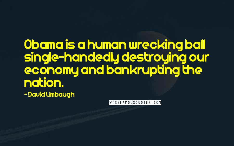 David Limbaugh Quotes: Obama is a human wrecking ball single-handedly destroying our economy and bankrupting the nation.