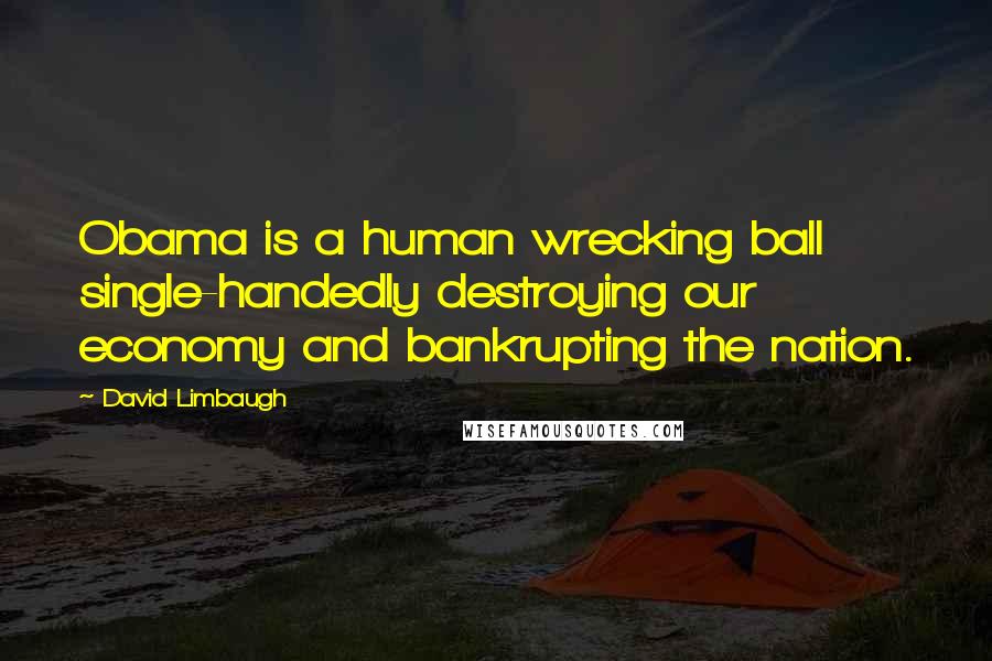 David Limbaugh Quotes: Obama is a human wrecking ball single-handedly destroying our economy and bankrupting the nation.