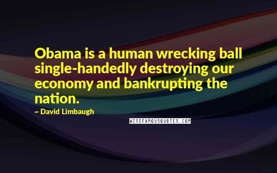 David Limbaugh Quotes: Obama is a human wrecking ball single-handedly destroying our economy and bankrupting the nation.