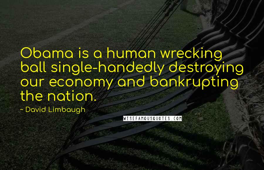David Limbaugh Quotes: Obama is a human wrecking ball single-handedly destroying our economy and bankrupting the nation.