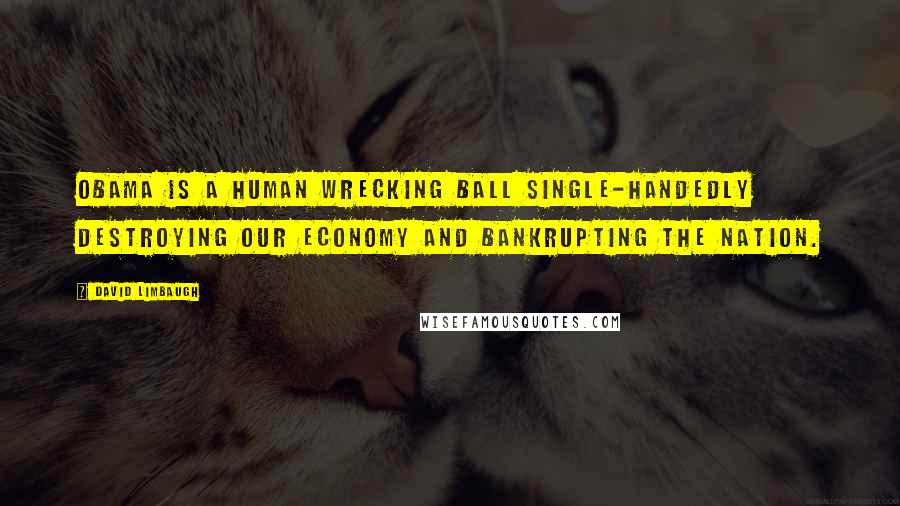 David Limbaugh Quotes: Obama is a human wrecking ball single-handedly destroying our economy and bankrupting the nation.