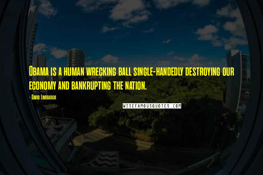 David Limbaugh Quotes: Obama is a human wrecking ball single-handedly destroying our economy and bankrupting the nation.