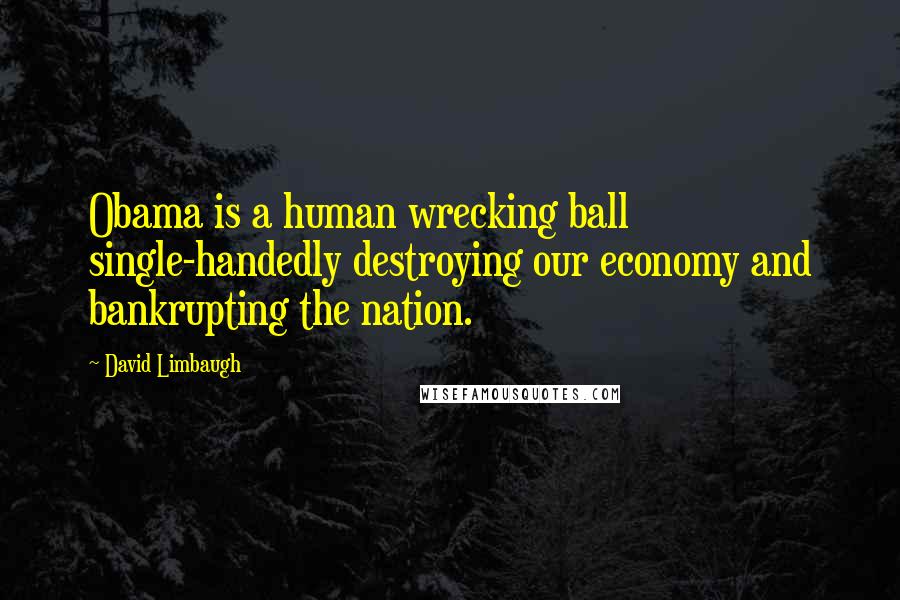 David Limbaugh Quotes: Obama is a human wrecking ball single-handedly destroying our economy and bankrupting the nation.