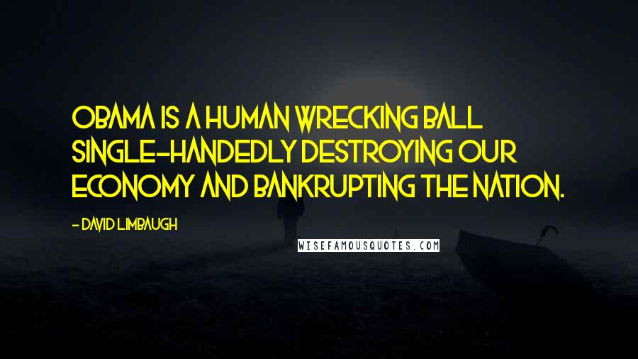 David Limbaugh Quotes: Obama is a human wrecking ball single-handedly destroying our economy and bankrupting the nation.