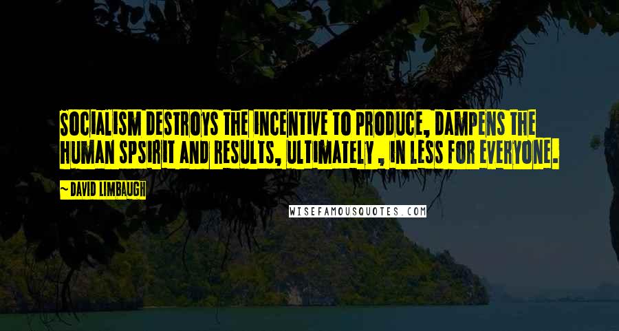 David Limbaugh Quotes: Socialism destroys the incentive to produce, dampens the human spsirit and results, ultimately , in less for everyone.
