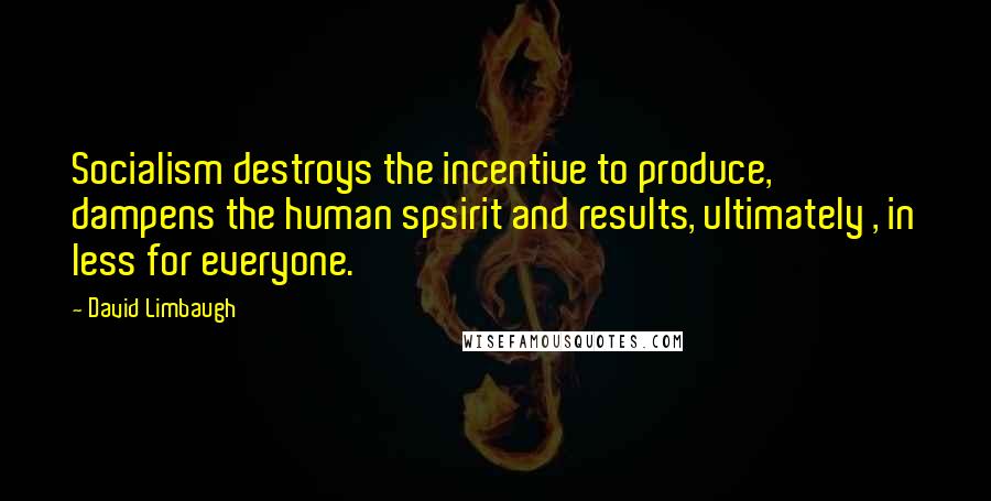 David Limbaugh Quotes: Socialism destroys the incentive to produce, dampens the human spsirit and results, ultimately , in less for everyone.