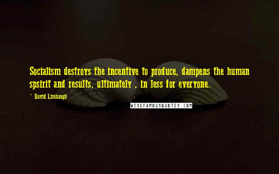 David Limbaugh Quotes: Socialism destroys the incentive to produce, dampens the human spsirit and results, ultimately , in less for everyone.