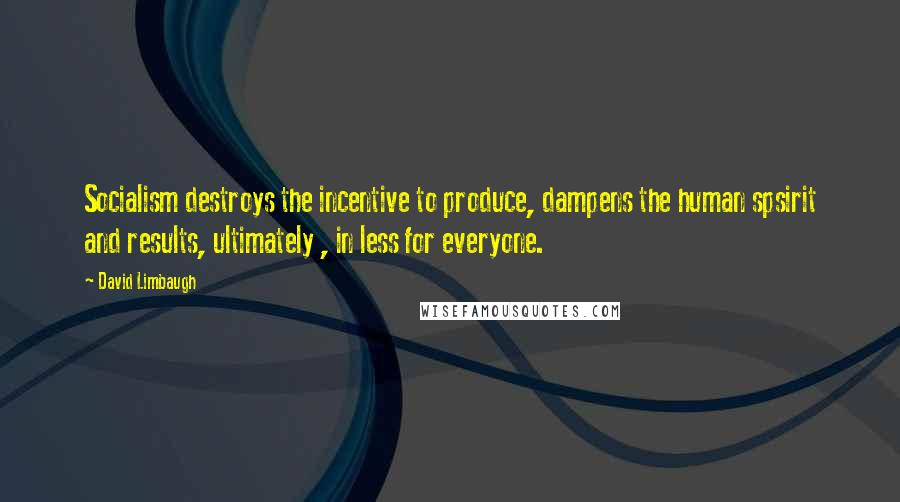 David Limbaugh Quotes: Socialism destroys the incentive to produce, dampens the human spsirit and results, ultimately , in less for everyone.