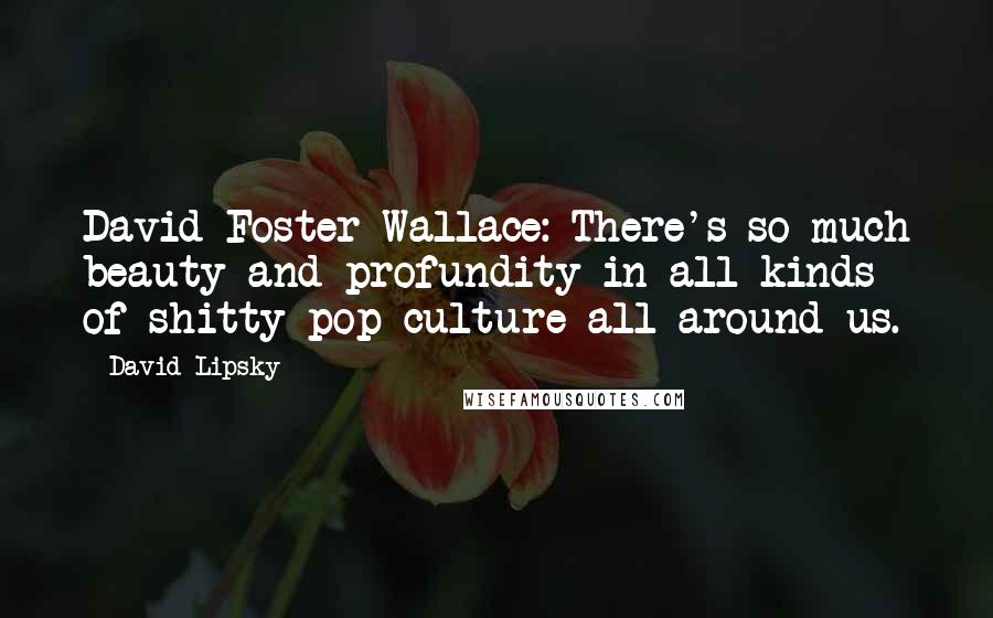 David Lipsky Quotes: David Foster Wallace: There's so much beauty and profundity in all kinds of shitty pop culture all around us.