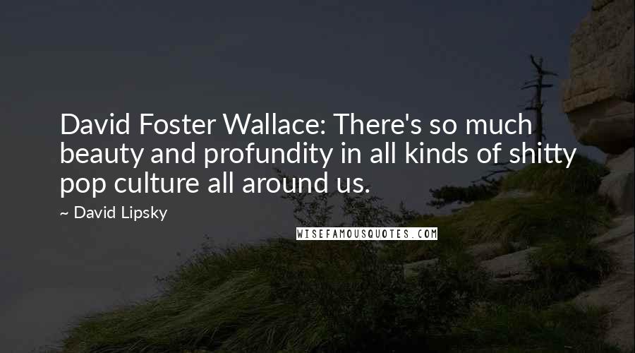 David Lipsky Quotes: David Foster Wallace: There's so much beauty and profundity in all kinds of shitty pop culture all around us.